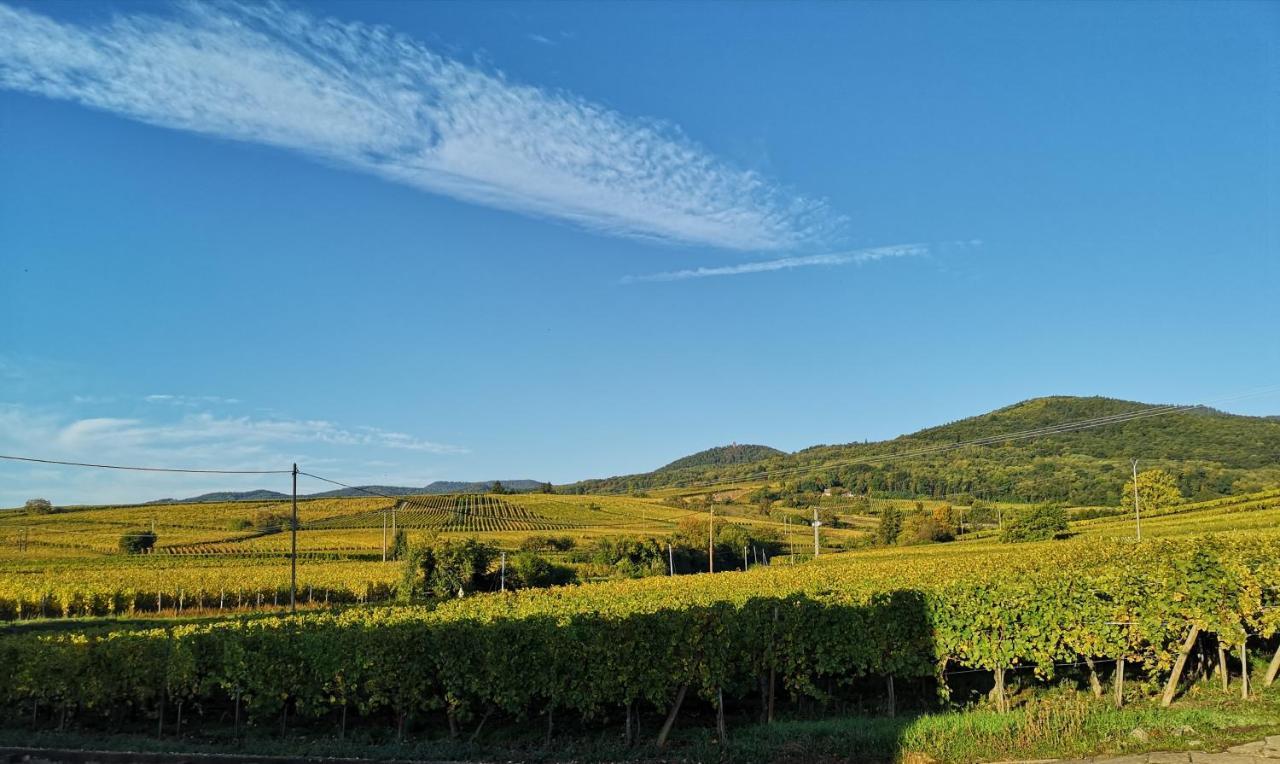 Cocon De Caractere Au Coeur Des Vignes Alsaciennes Apartment Bergheim Luaran gambar