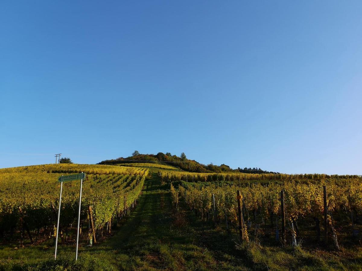 Cocon De Caractere Au Coeur Des Vignes Alsaciennes Apartment Bergheim Luaran gambar