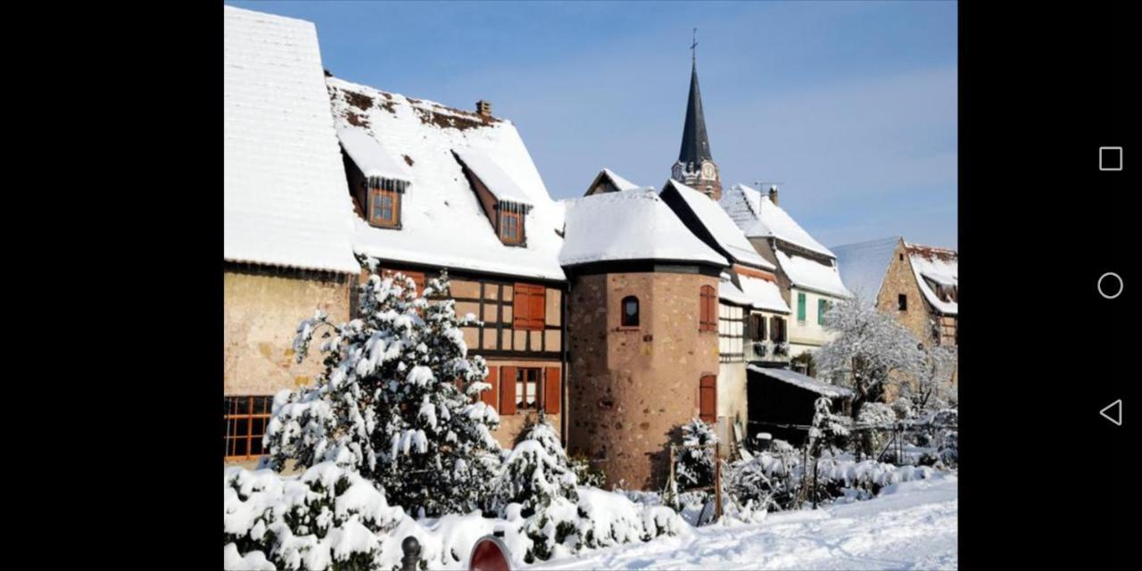 Cocon De Caractere Au Coeur Des Vignes Alsaciennes Apartment Bergheim Luaran gambar