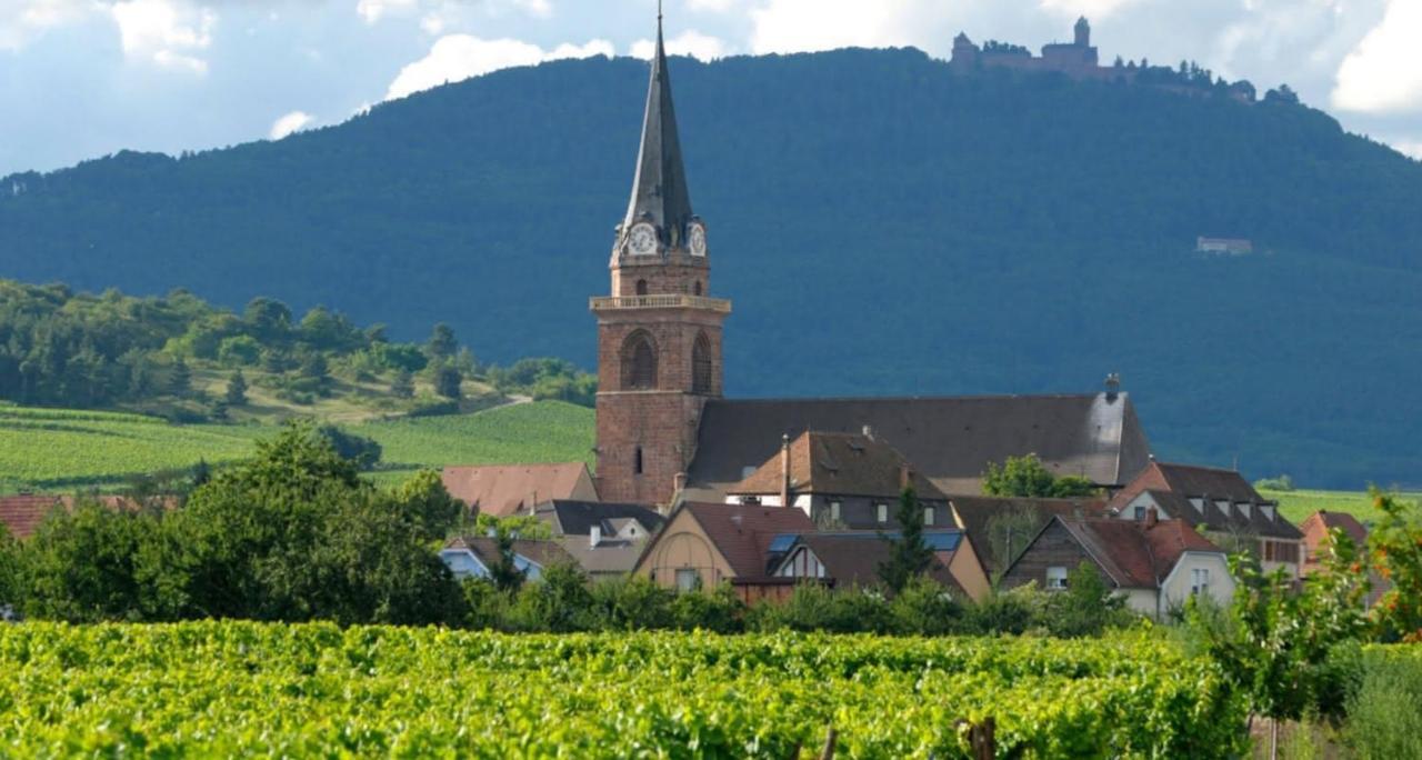 Cocon De Caractere Au Coeur Des Vignes Alsaciennes Apartment Bergheim Luaran gambar