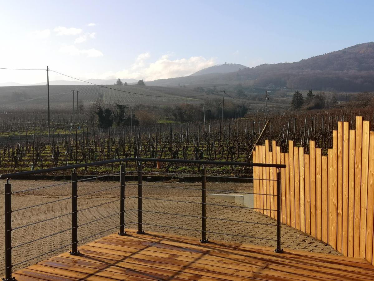 Cocon De Caractere Au Coeur Des Vignes Alsaciennes Apartment Bergheim Luaran gambar