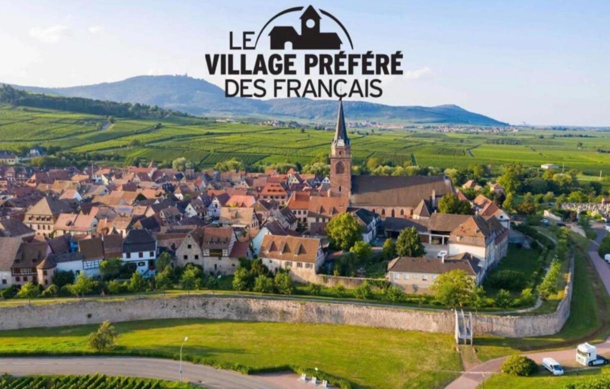 Cocon De Caractere Au Coeur Des Vignes Alsaciennes Apartment Bergheim Luaran gambar